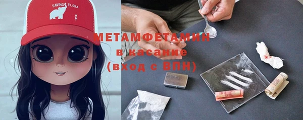 сатива Абинск
