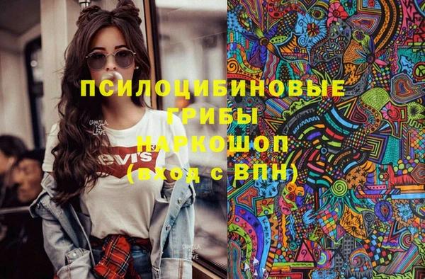 сатива Абинск